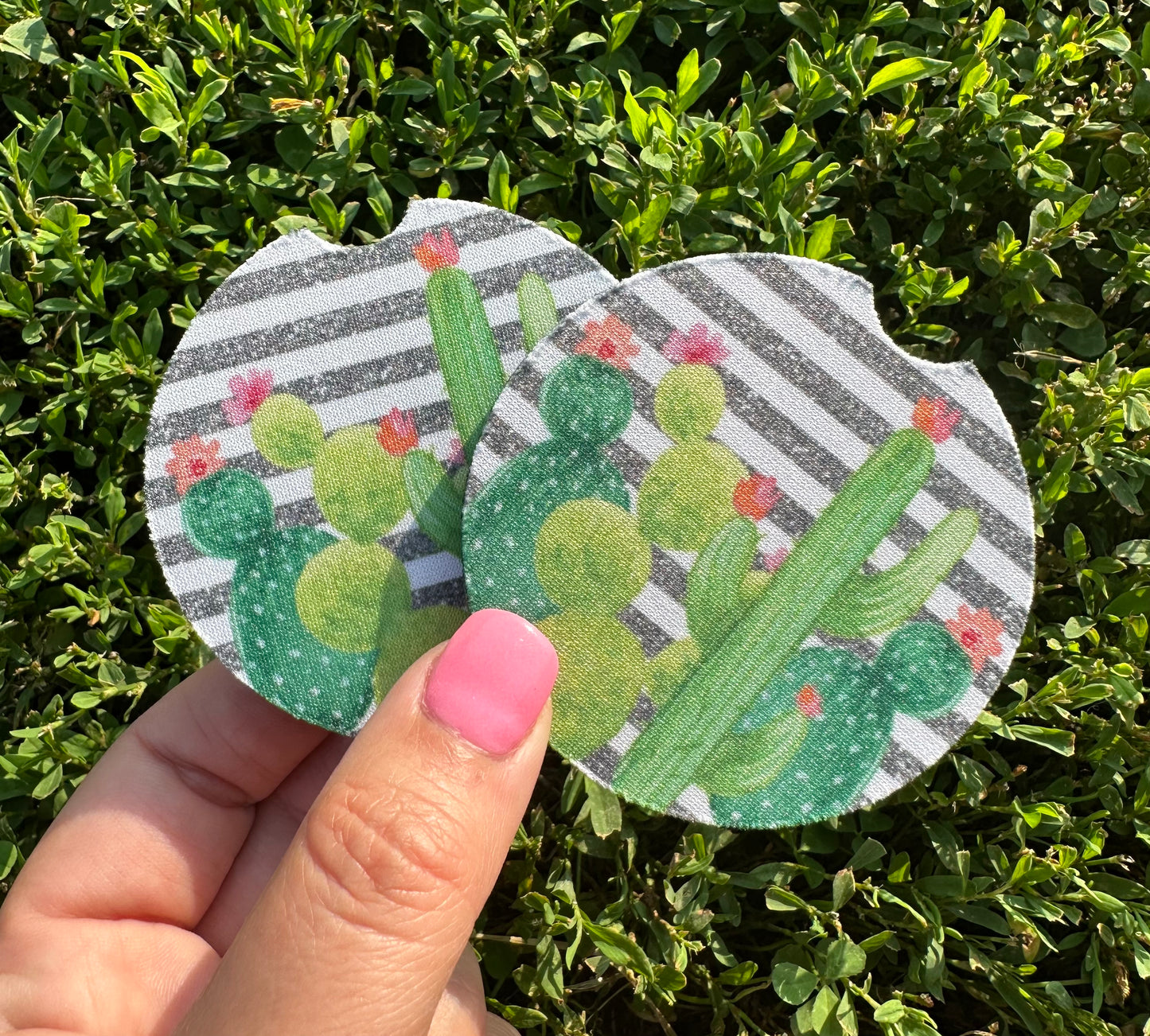 Stripe Cactus Car Coasters